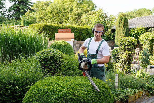 Lawn Drainage Solutions in Kilauea, HI